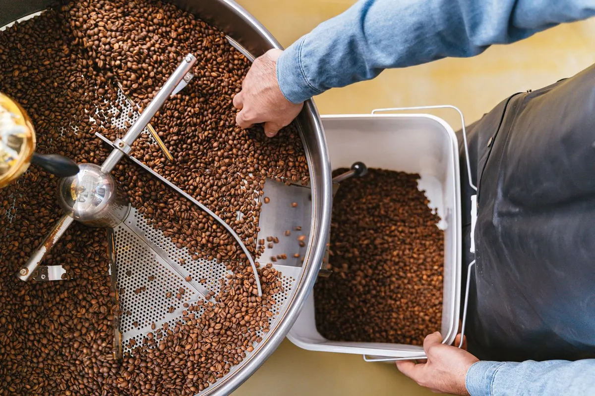 Hands managing freshly roasted coffee beans in the roaster, top view